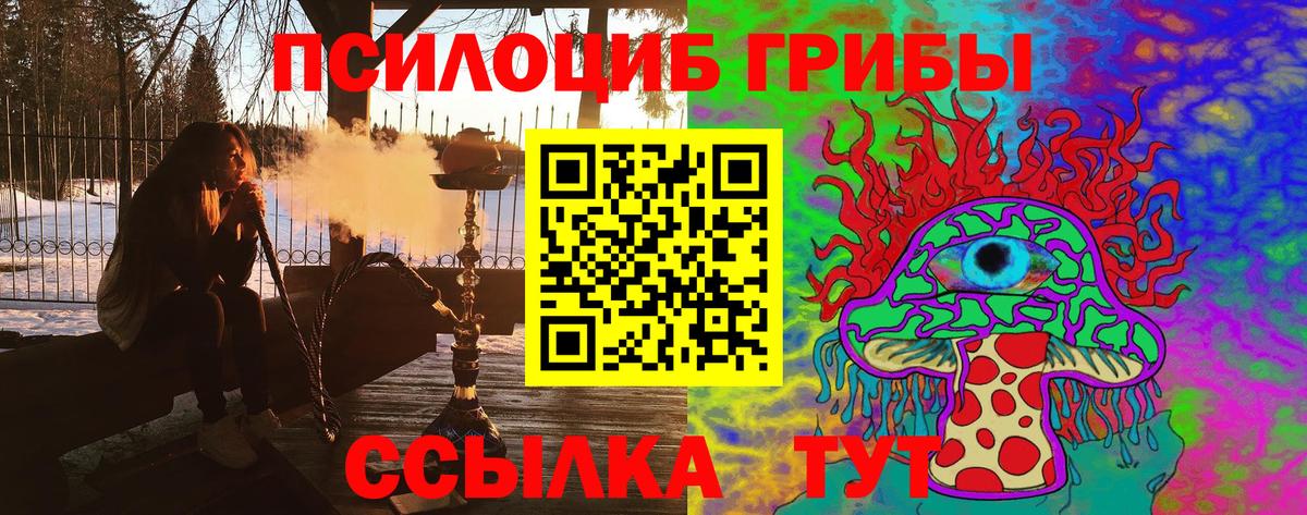 наркотики  Вход с VPN  Нижний Тагил  Псилоцибиновые грибы Psilocybe 